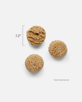 The Honest Kitchen Pumpkin & Cinnamon Goat's Milk N' Cookies, Dog Treat, 8-oz Bag