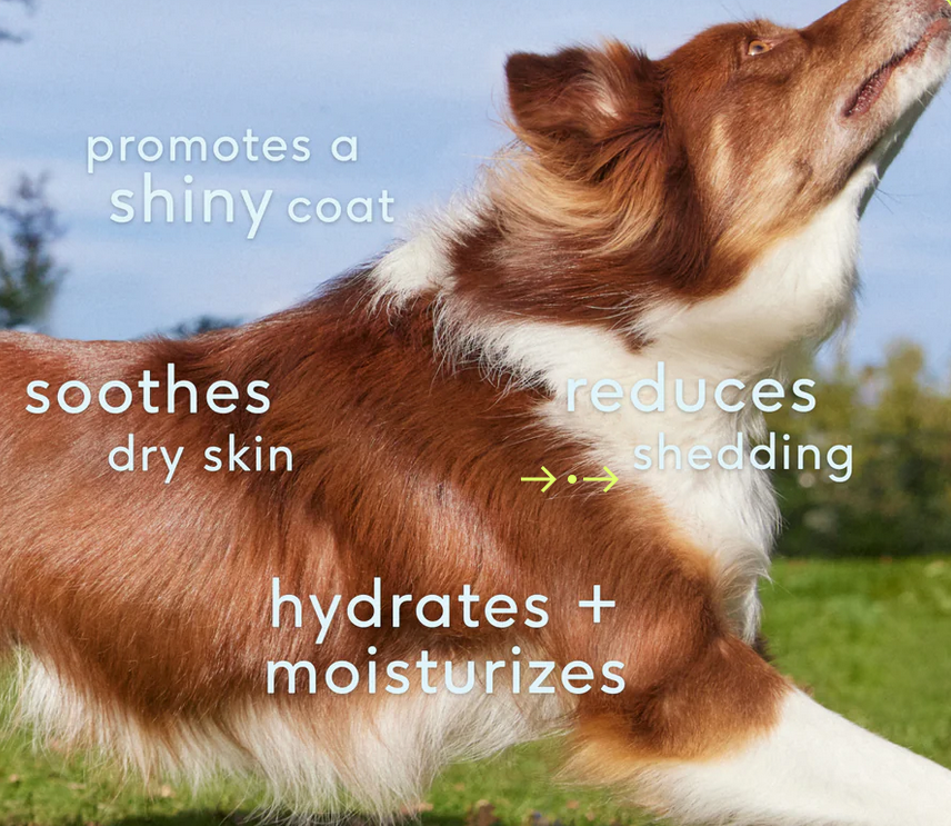 Native Pet Skin + Coat 60-Count, Dog Supplement