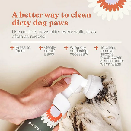 Dandylion Clean Paws No-Rinse Foaming Cleanser, 5-oz