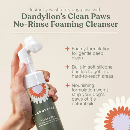 Dandylion Clean Paws No-Rinse Foaming Cleanser, 5-oz