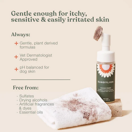 Dandylion Clean Paws No-Rinse Foaming Cleanser, 5-oz