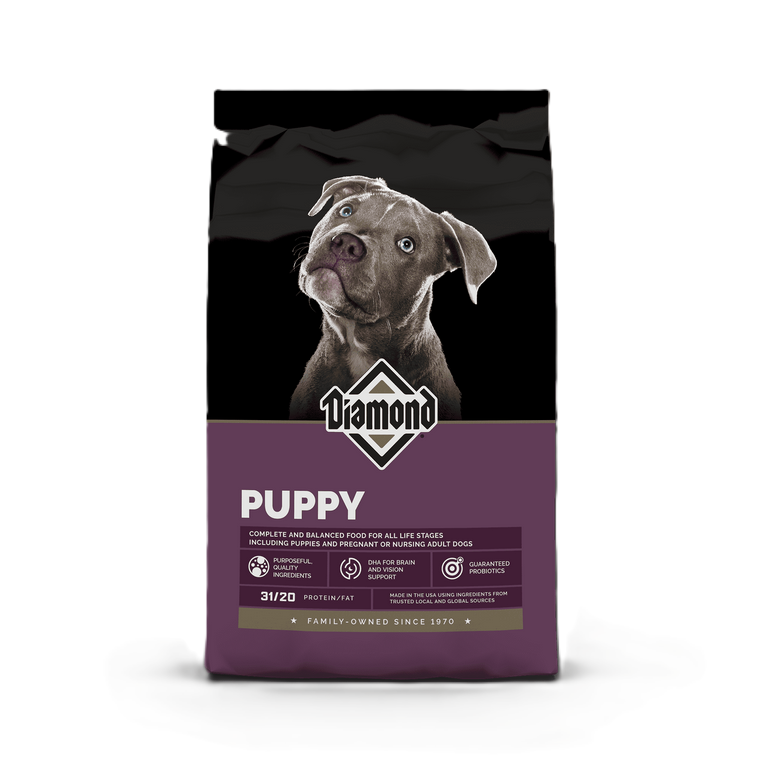 Is Puppy Dog Food Good for Adult Dogs? Expert Insights Revealed