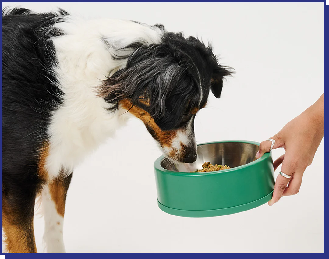 My Perfect Pet Grain-Free Sweethearts Pork 4-lb, Gently Cooked Dog Food