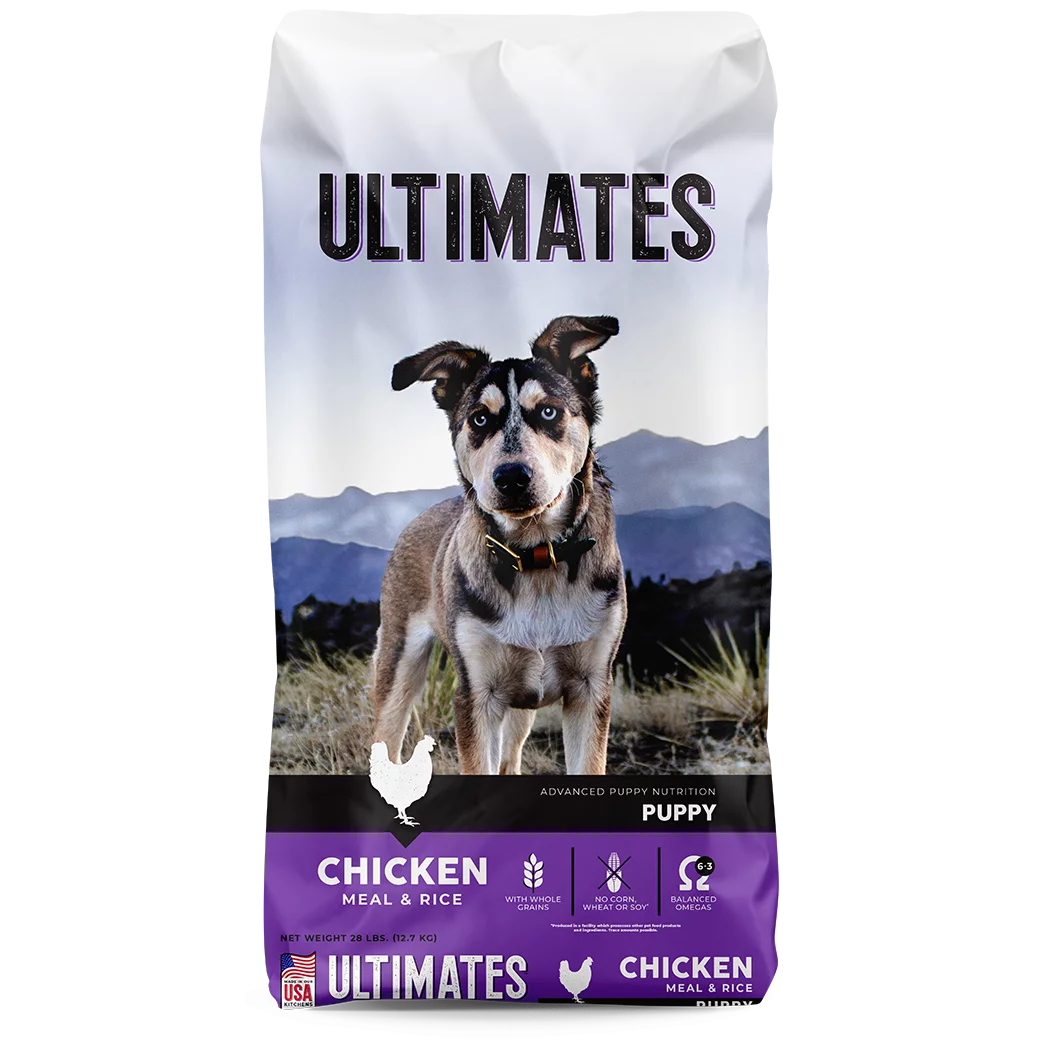 What is the best dog food to feed a puppy deals