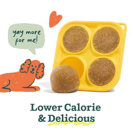 Woof Pupsicle Mix - Balanced Belly Recipe, 5.5-oz bag