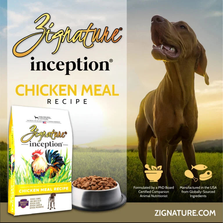 Zignature Inception Adult Chicken Recipe, Dry Dog Food