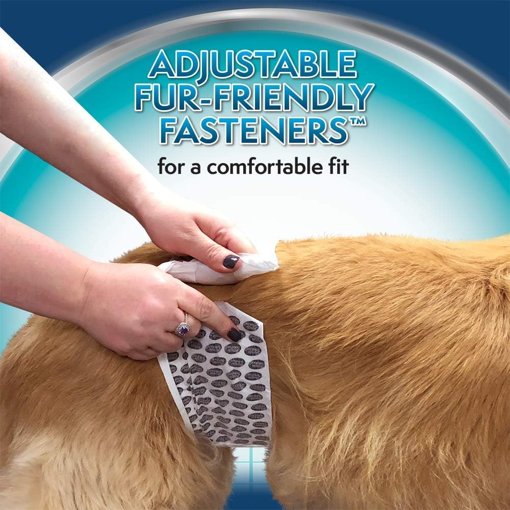 Simple Solution Disposable Male Wrap, 12-Pack, For Dogs