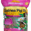 Kaylor Of Colorado Sweet Harvest, Guinea Pig & More 6-lb, Guinea Pig Food
