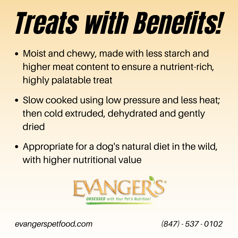 Evanger's Grain-Free Buffalo Jerky 4.5-oz, Dog Treat