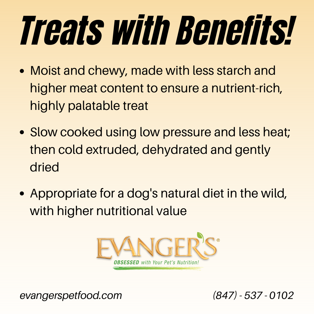 Evanger's Grain-Free Venison Jerky 4.5-oz, Dog Treat