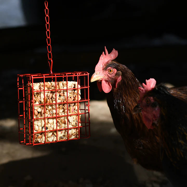 Happy Hen Treats Treat Square Basket For Poultry