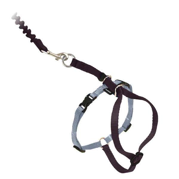 PetSafe Come With Me Kitty™ Cat Harness & Bungee Leash