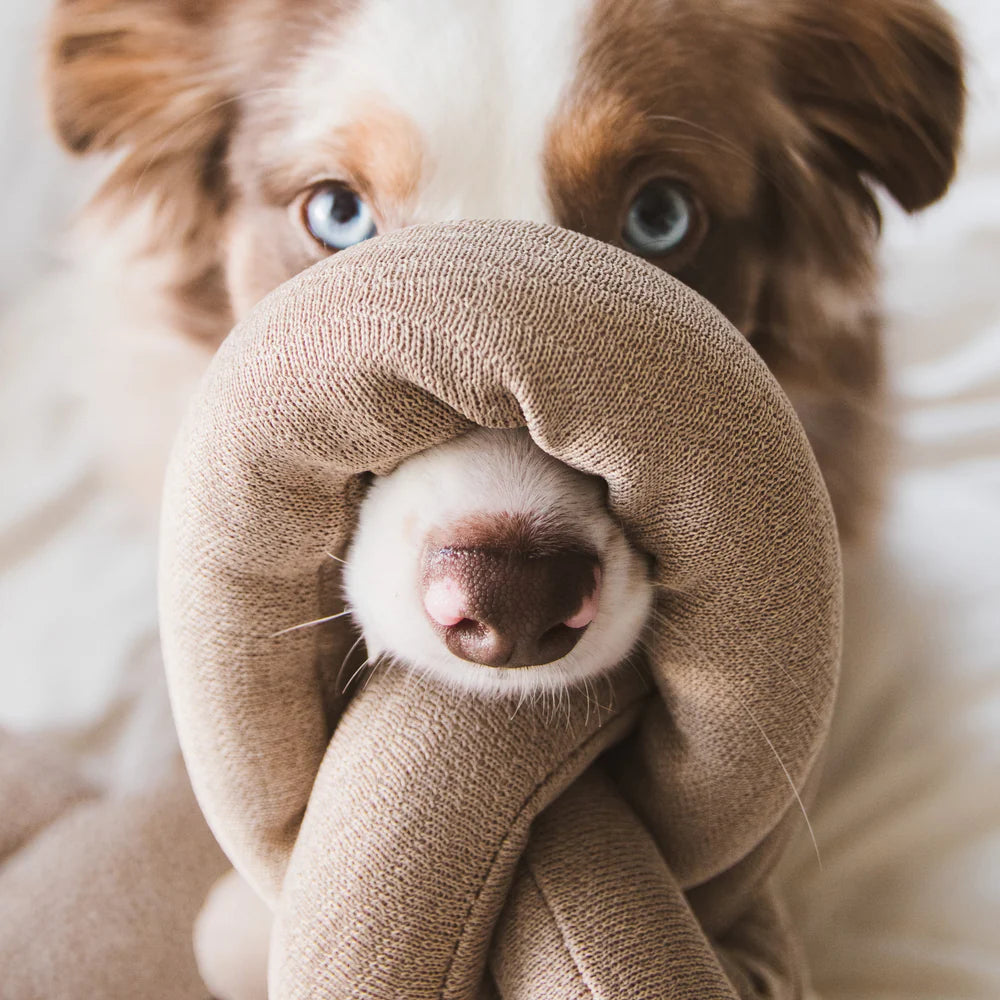 Lambwolf Collective Nou Enrichment, Dog Toy