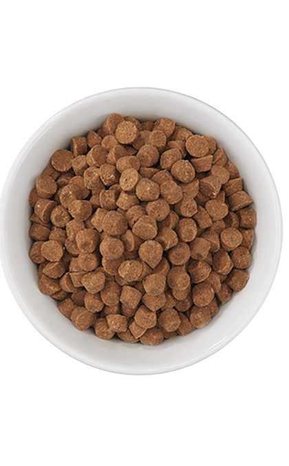 Tiki Cat Born Carnivore® Silver Senior Health: Chicken & Herring Meal Recipe 2.8-lb, Dry Cat Food