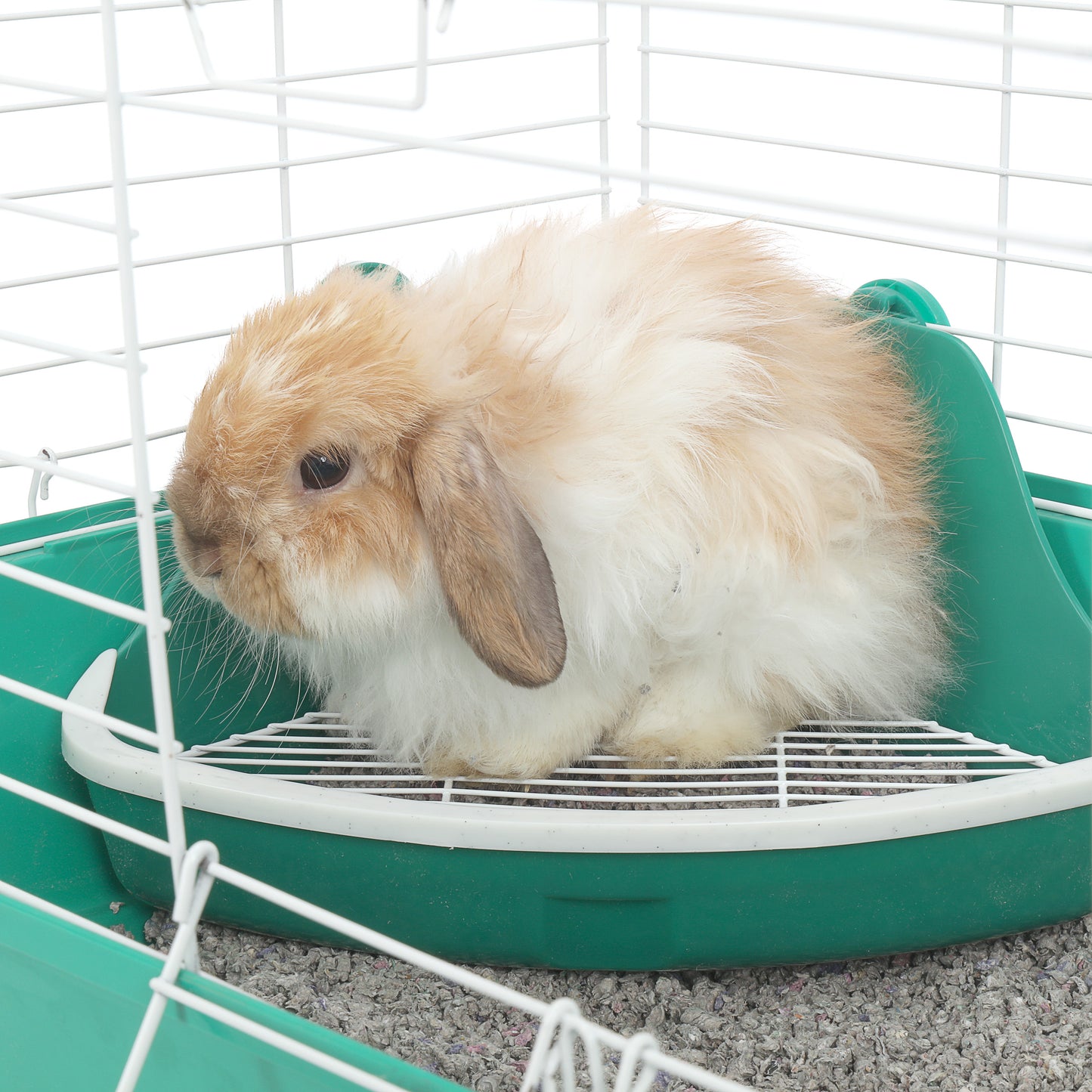 Ware Scatterless Lock-N-Litter Pan For Small Animals