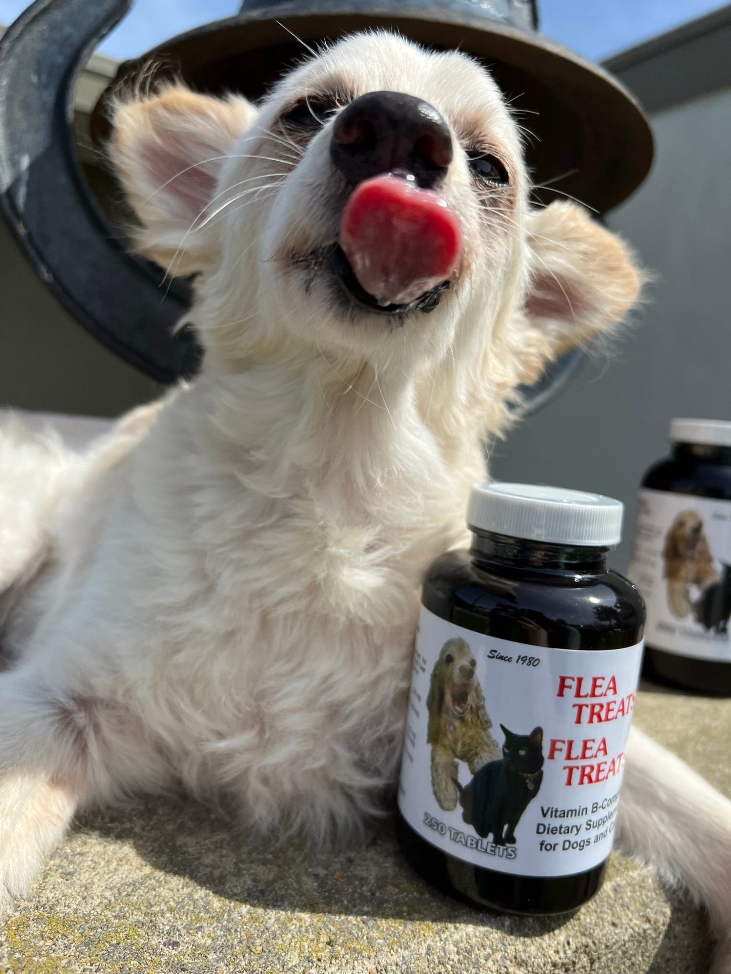 Flea Treats Dietary Supplement for Dogs & Cats