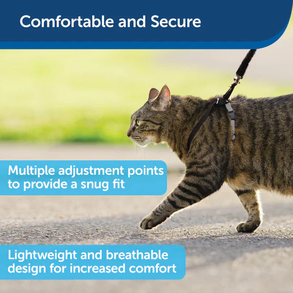 PetSafe Come With Me Kitty™ Cat Harness & Bungee Leash