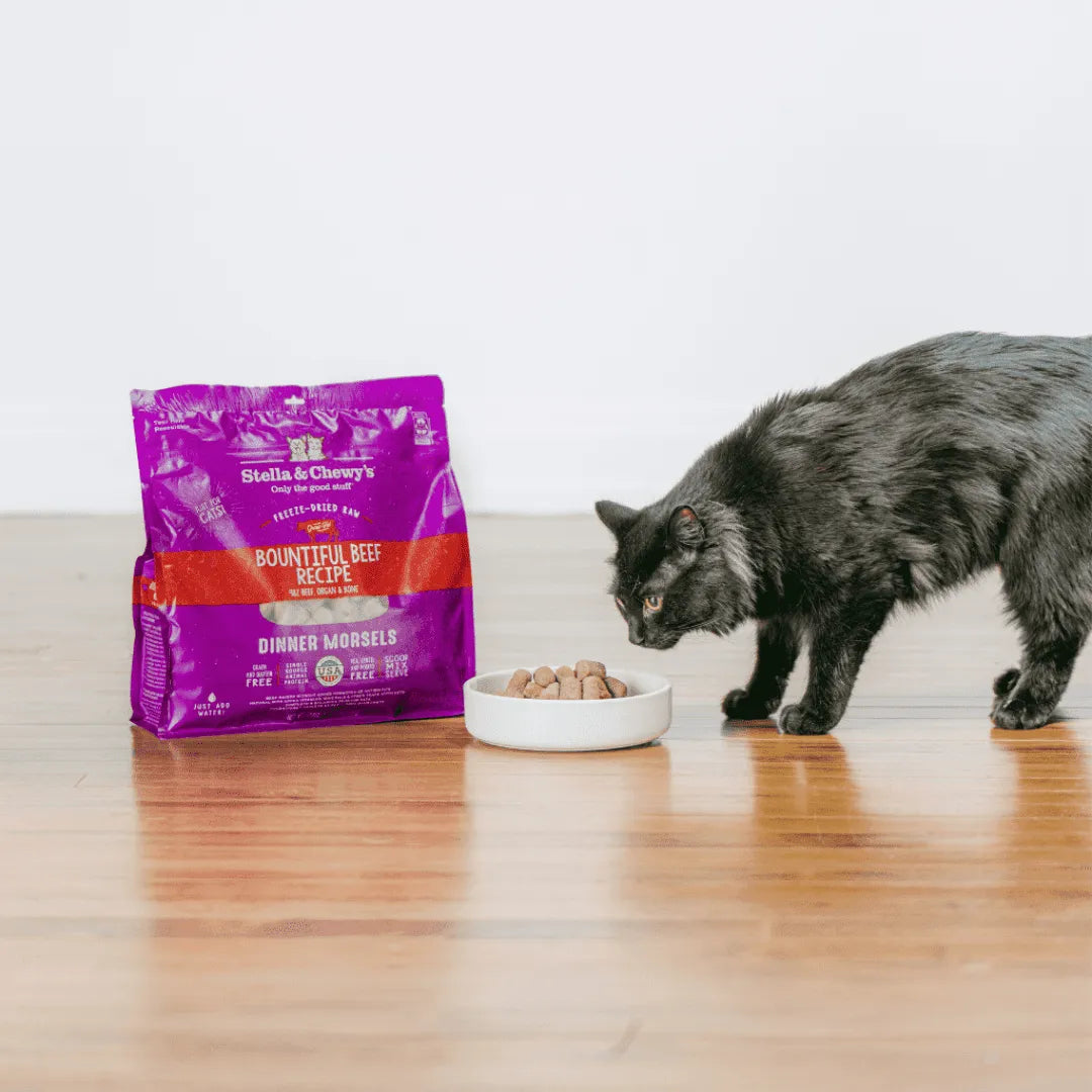 Stella & Chewy's Bountiful Beef Dinner Morsels, Freeze-Dried Raw Cat Food