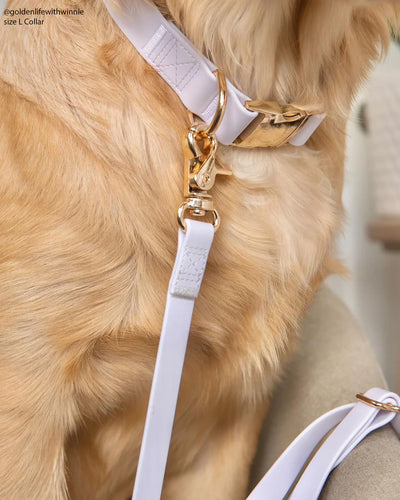 Shop Sunny Tails 4-In-1 Hands Free Leash For Dogs