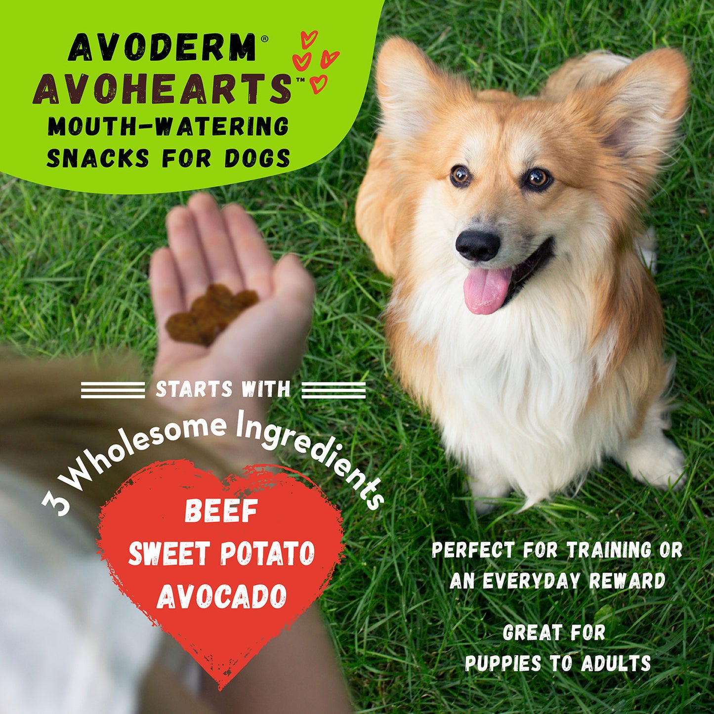 Avoderm® Avohearts™ Beef & Avocado Formula 5-oz, Dog Treat