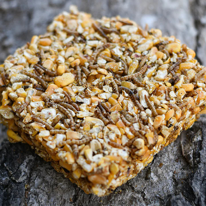 Happy Hen Treats Treat Square Corn & Mealworm Recipe, Poultry Treat