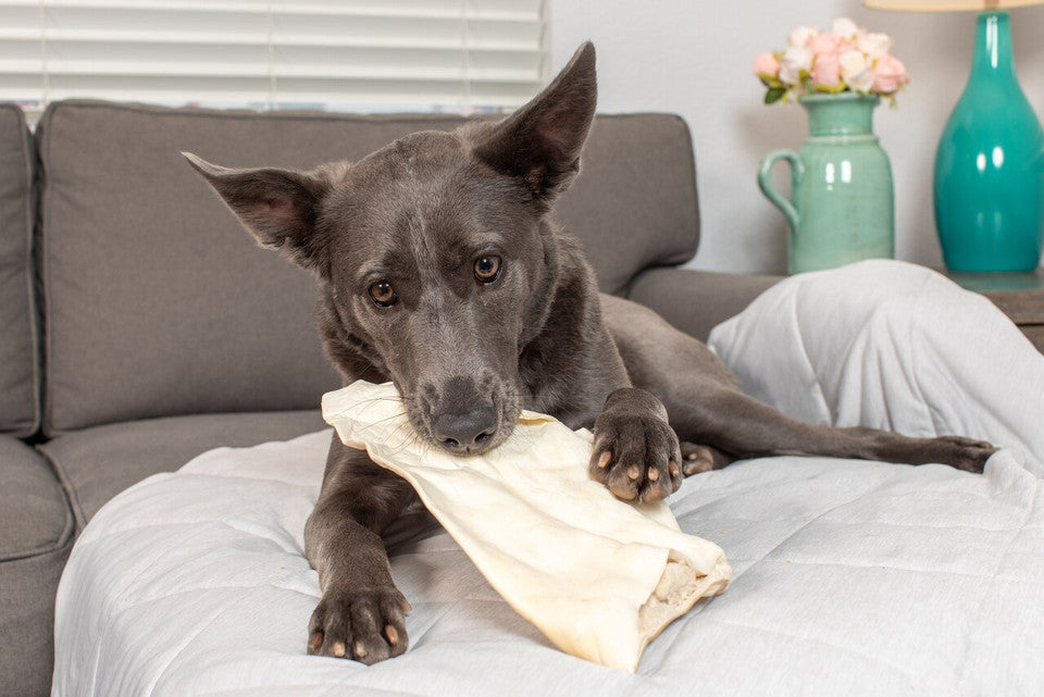 Barking Buddha Cow Ear, Dog Chew