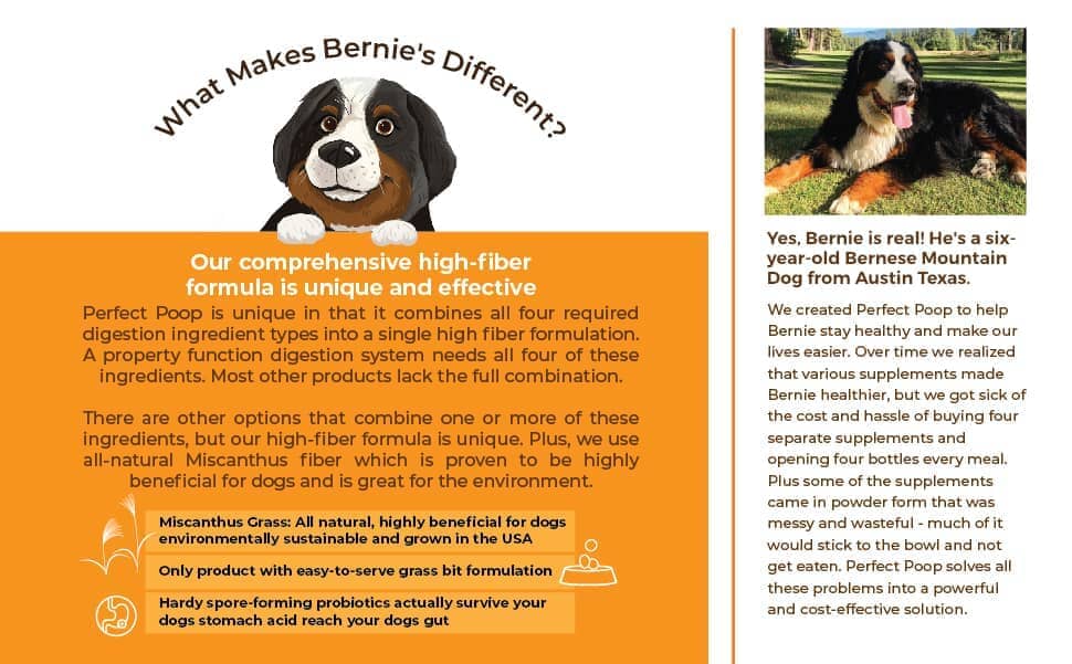 Bernie's Perfect Poop With Cheese, Dog Supplement