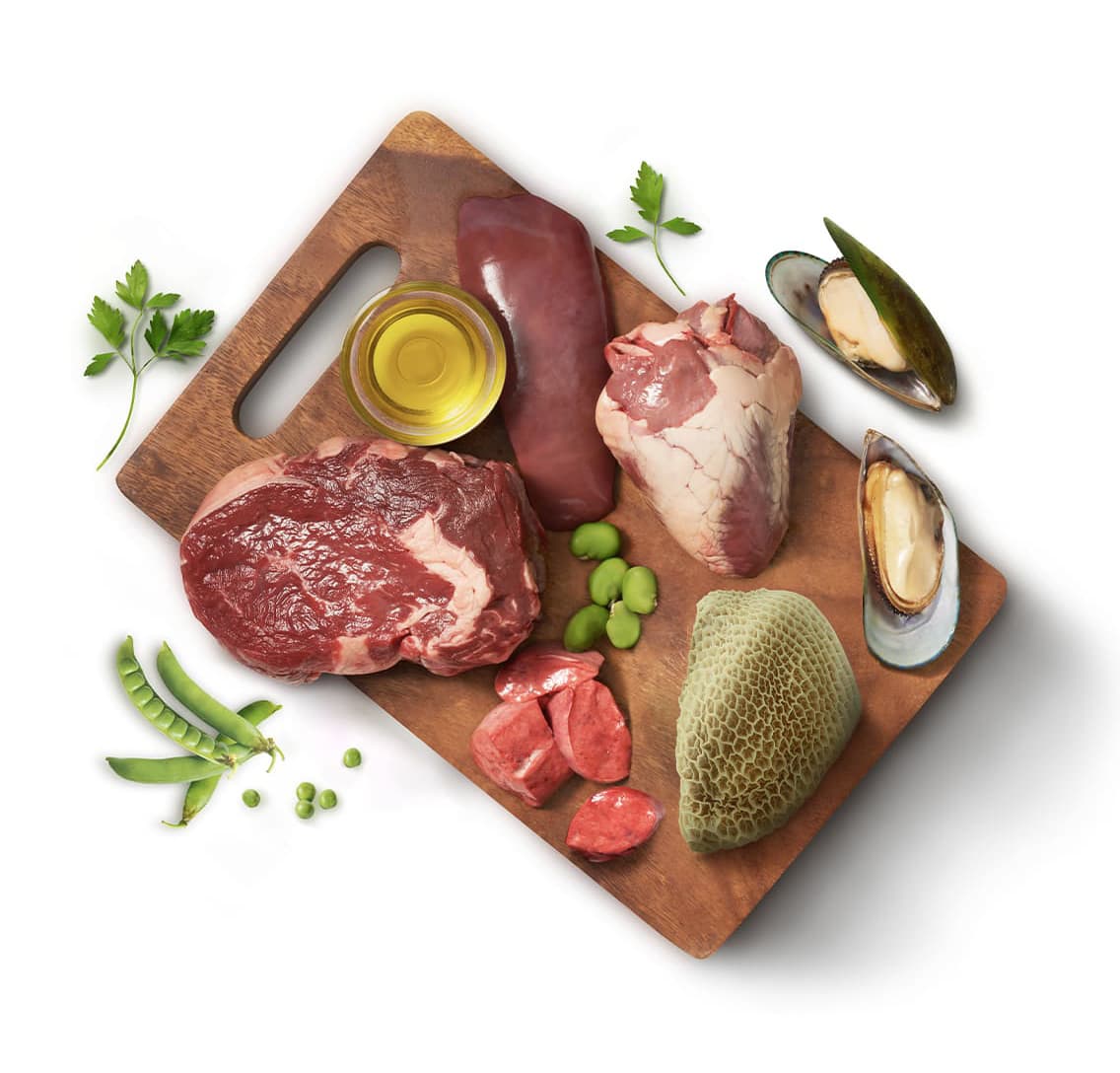Animals Like Us RawMix50™ with Grass-Fed Beef, Dry Dog Food