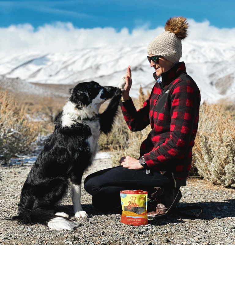 Beg & Barker Beef Liver Strips, Dog Treat