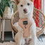 Sassy Woof Adjustable Pinot, Dog Harness