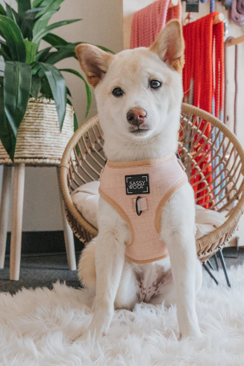 Sassy Woof Adjustable Pinot, Dog Harness