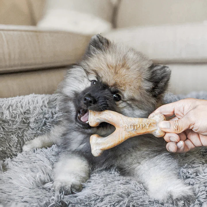 Benebone Puppy Bacon Wishbone, Dog Toy