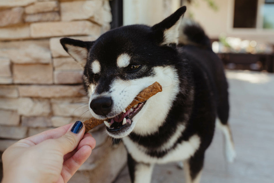 Loving Pets Chicken & Cheese Soft Jerky Sticks 6-oz, Dog Treats