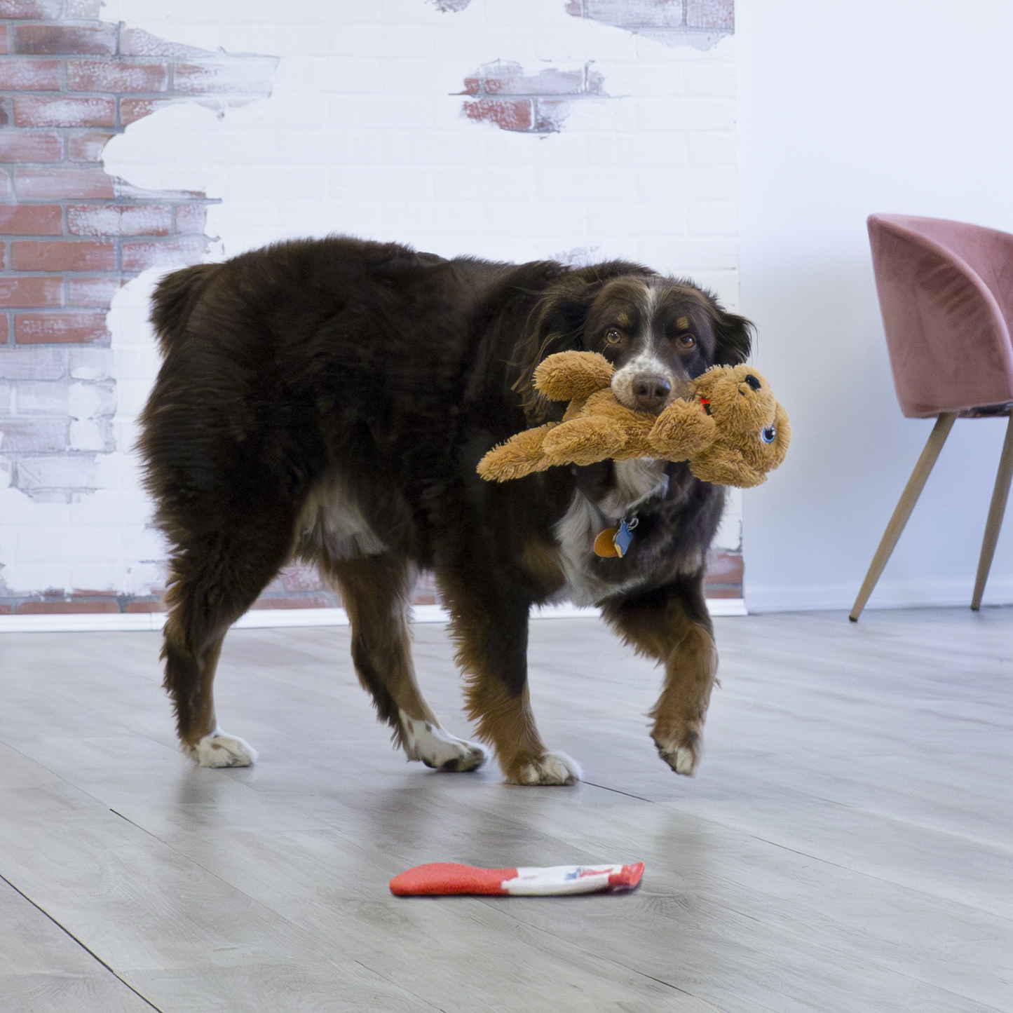 Kong Medium Comfort Pups Goldie, Dog Toy
