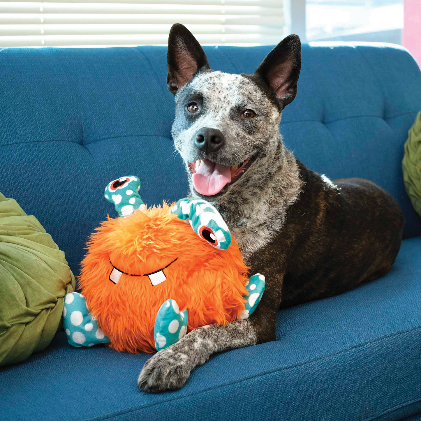Kong Extra Large Whipples, Assorted, Dog Toy