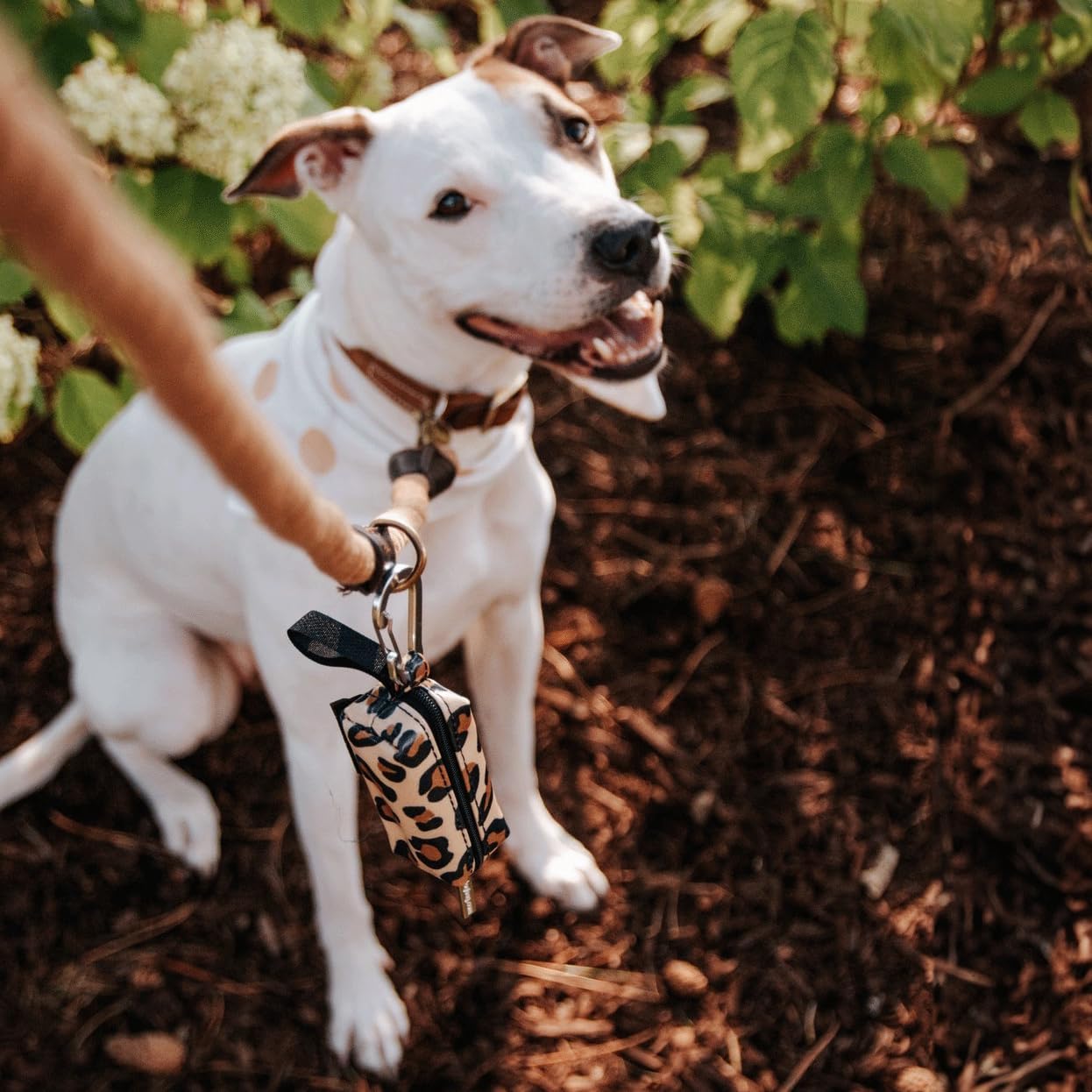 Doggie Walk Bags Leopard Print, Dog Waste Bag Dispenser