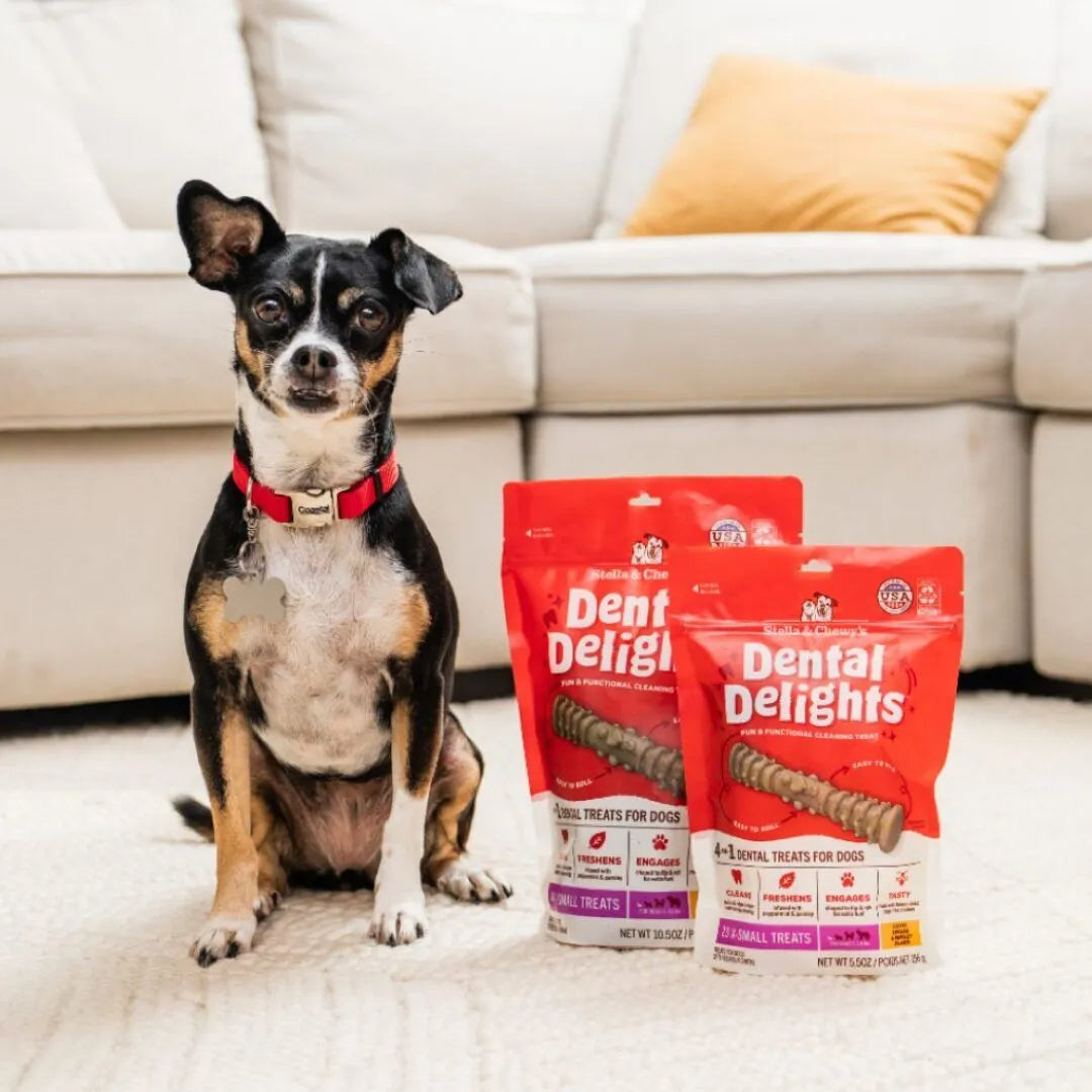 Stella & Chewys Extra Small Dental Delights Oral Health Dog Treats, 23-Count