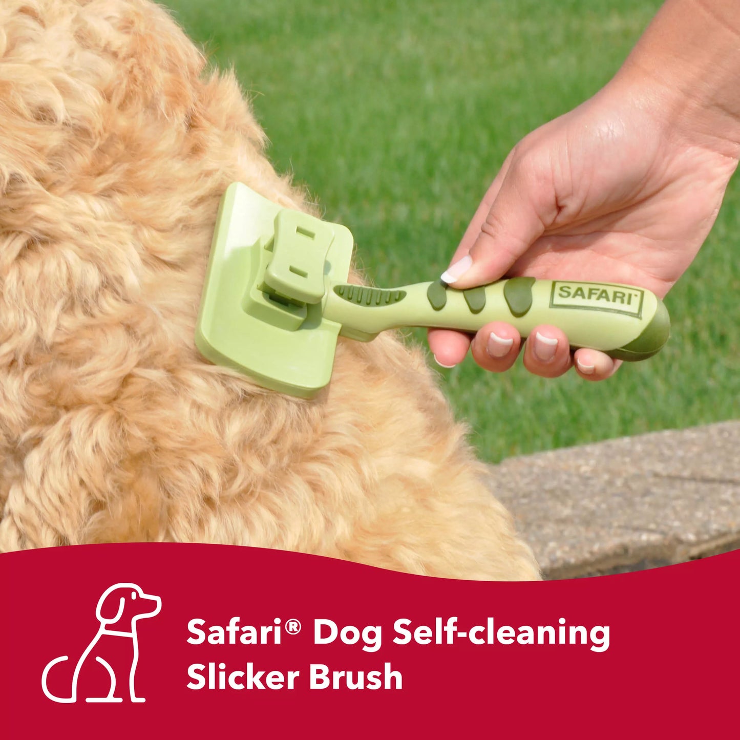 Safari Small Self Cleaning Slicker Brush For Dogs