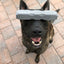 Bulletproof Pet Products Extra Large Indestructibone Pro Grade Plus, Dog Toy