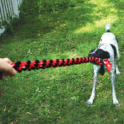 Kong Signature Rope 20-Inch, Dog Toy