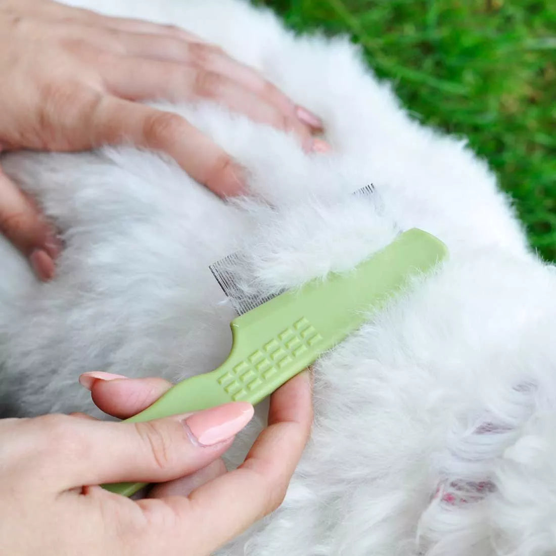 Safari Flea Comb For Dogs