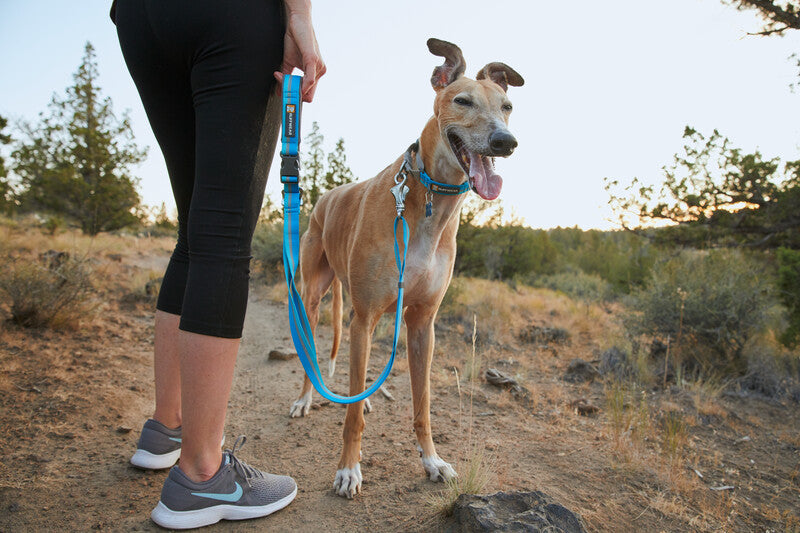 Ruffwear Crag™ Reflective, Dog Leash