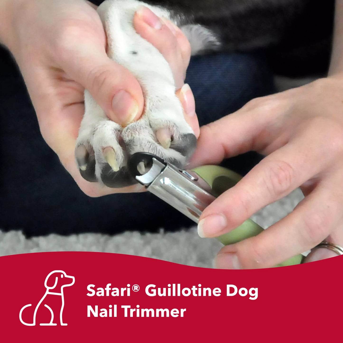 Safari Guillotine Dog Nail Trimmer, Large Breed Size