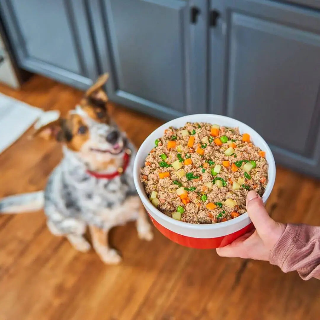 Stella & Chewy's FreshMade Beefy-Licious 16-oz, Gently Cooked Dog Food