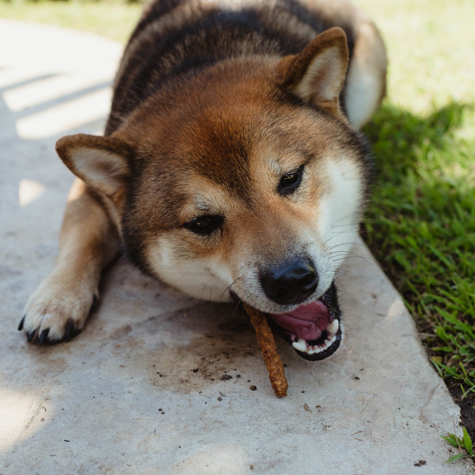 Loving Pets Natural Value® Soft Chew Duck Sticks, Dog Treat