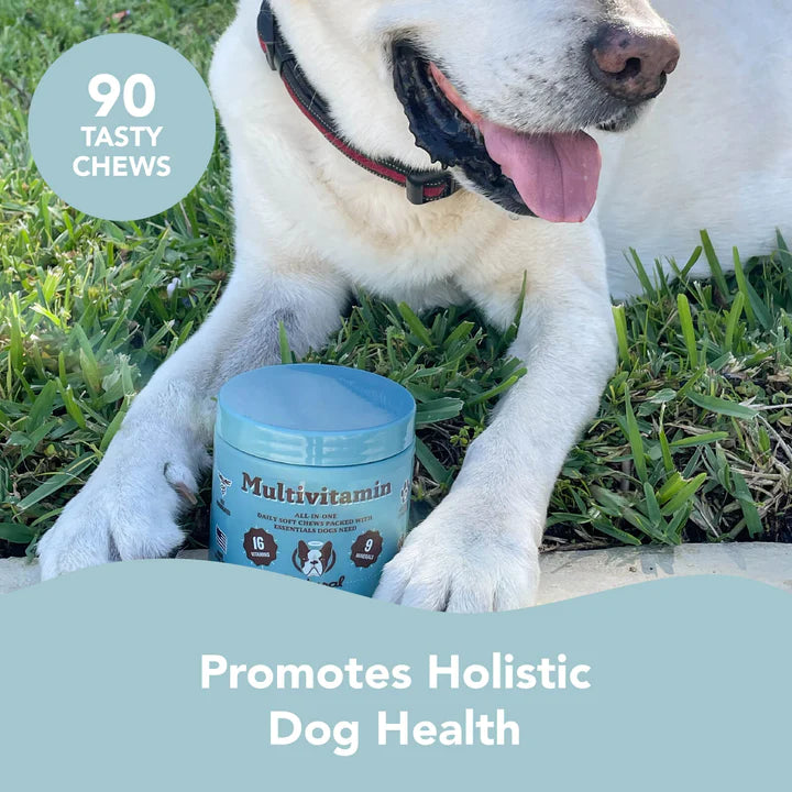 Natural Dog Company Multivitamin Dog Supplement, 90-Count