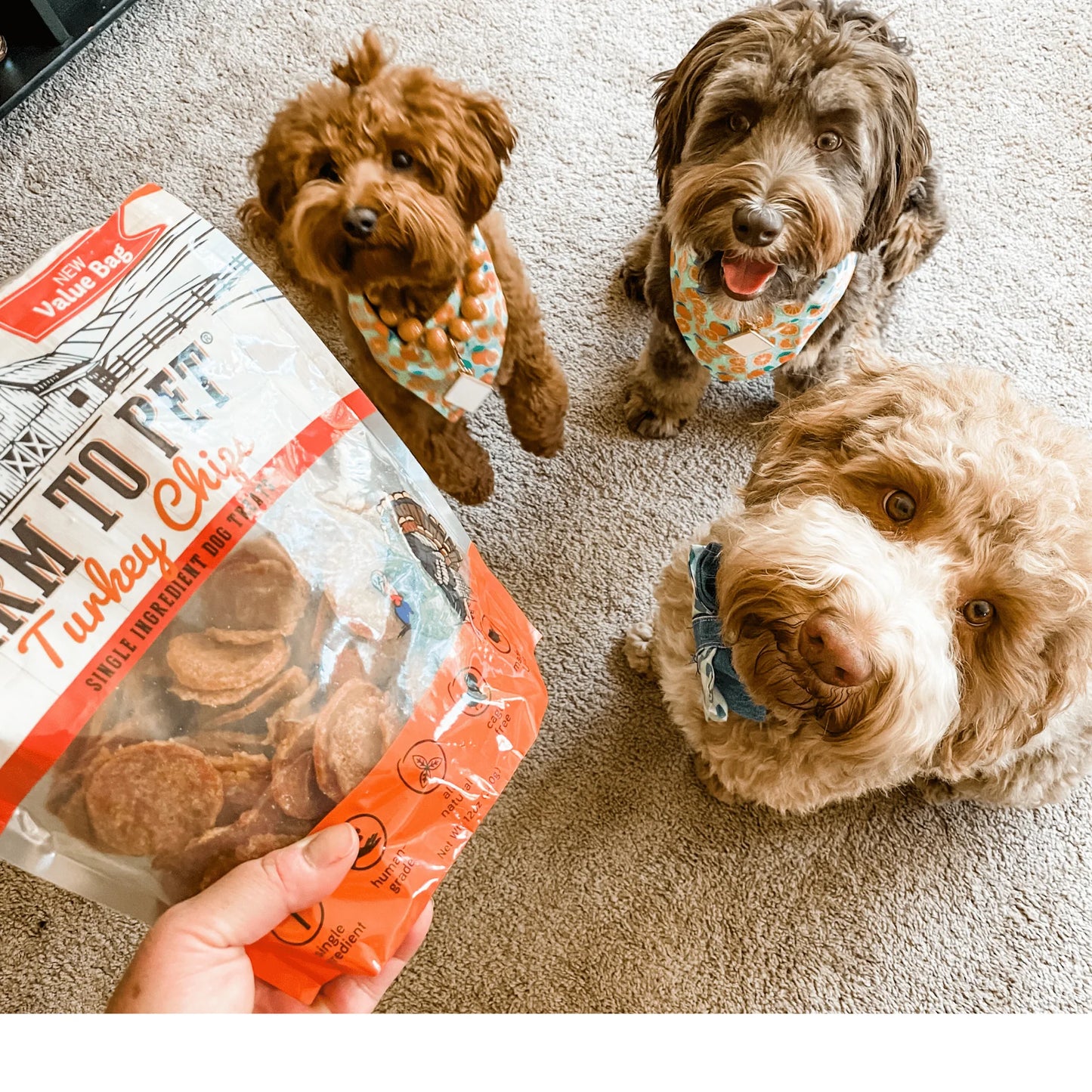 Farm To Pet Single Ingredient Turkey Chips Snack Size, Dog Treat