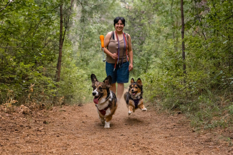Ruffwear Gourdo, Dog Toy