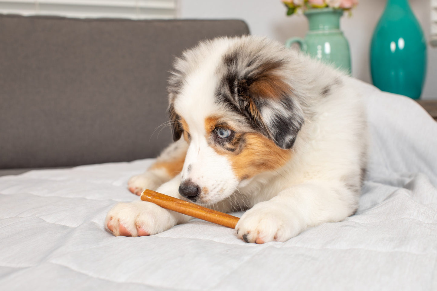 Barking Buddha Longlastics™ Thick Collagen Stick 6-inch, 10-Pack, Dog Chew