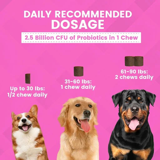 Nootie Progility Pre & Probiotic Soft Chews, 90-Count, Dog Supplement